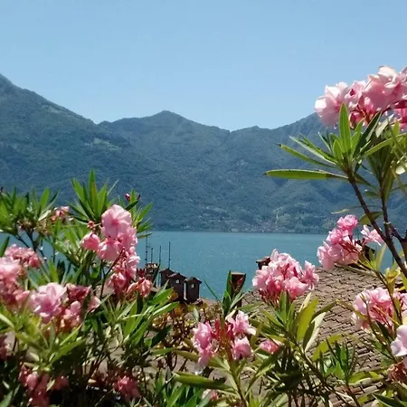 Da Graziella Apartment Lovere